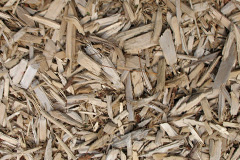 biomass boilers Llanegryn